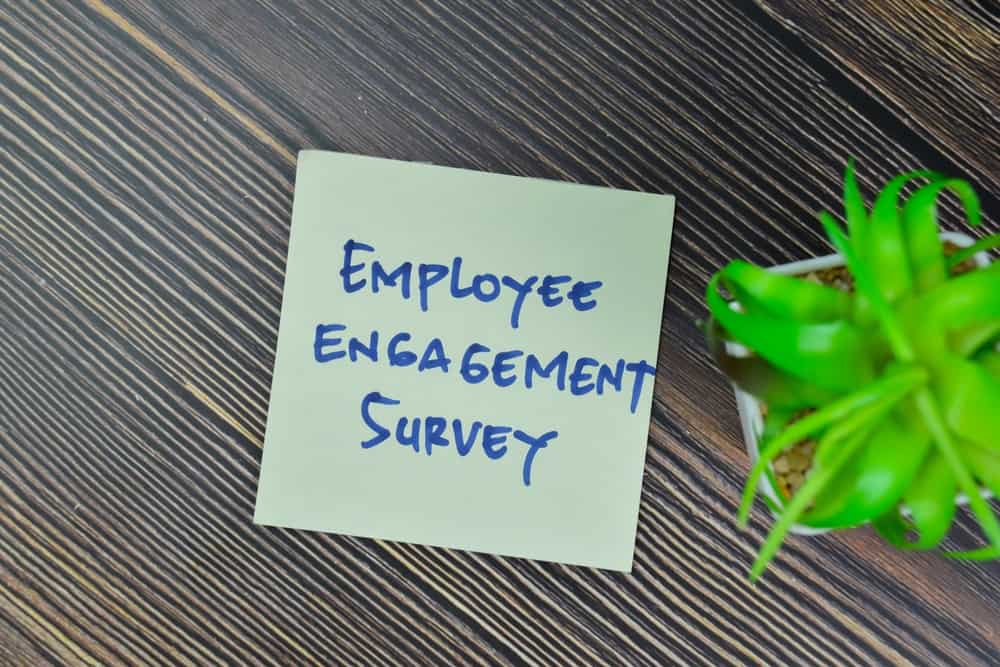 Employee Engagement Surveys For Organisational Improvement